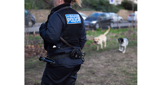 New law means jail time for dognappers in Gloucestershire